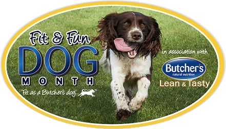 Fit & Fun Dog Month sponsored by Butchers Lean & Tasty